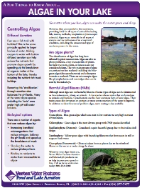 algae