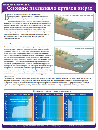 Сезонные изменения в прудах и озёрах